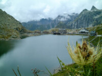 Passo del Gran San Bernardo Passo del Gran San Bernardo