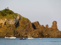 L’Isola Lachea nei pressi di Acitrezza, composta dai primi basalti risalenti a 500 mila anni fa e nella sommità da argille L’Isola Lachea nei pressi di Acitrezza, composta dai primi basalti risalenti a 500 mila anni fa e nella sommità da argille