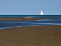 Spiaggia di Porto Caleri, Rosolina Mare (Laguna veneta) Spiaggia di Porto Caleri, Rosolina Mare (Laguna veneta)