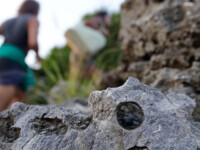 Fori a litodomi sulla spiaggia dell'Arcomagno, San Nicola Arcella (CS) Fori a litodomi sulla spiaggia dell'Arcomagno, San Nicola Arcella (CS)