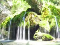 I capelli di Venere a Casaletto Spartano I capelli di Venere a Casaletto Spartano